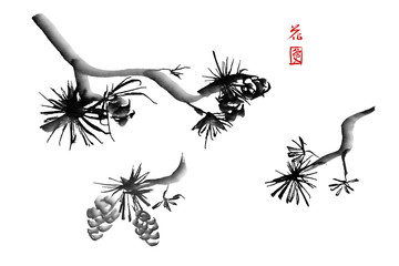 Set of pine brunches hand-drawn with ink in traditional Japanese style sumi-e. Image contains hieroglyphs "love" and "luck". Illustration isolated on a white background.