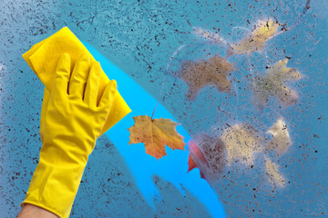 Hand in rubber glove cleaning window on a blue sky background