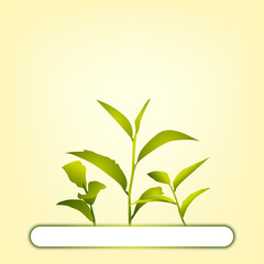 листочки чая на светлом фоне, векторная иллюстрация