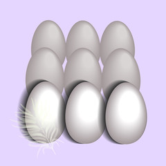 куриные яйца на светлом фоне, векторная иллюстрация