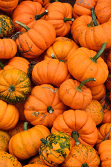 Small pumpkins at Halloween market.