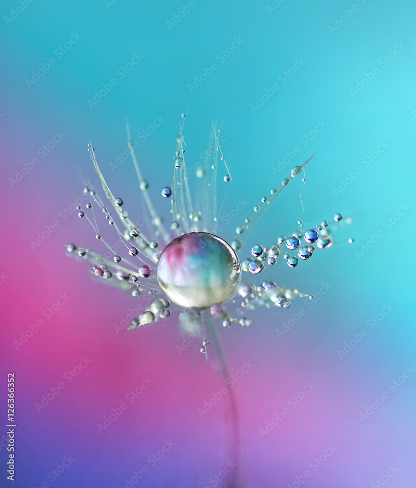 Poster beautiful dew drops on a dandelion seed. close-up. sparkling bokeh. beautiful light blue and violet 