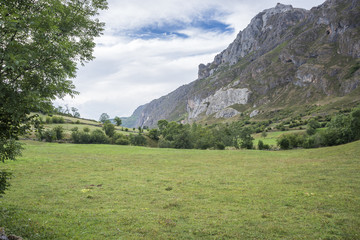 Fototapeta na wymiar Hay meadows in Valle del Lago, one of fifteen parishes in Somiedo, a municipality located in the central area of the Cantabrian Mountains, Principality of Asturias, Spain