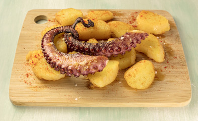 Octopus with fried potatoes, typical Spanish dish