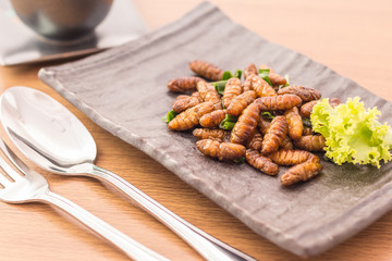 Fried insects