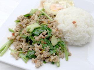 Close up Rice topped with stir fried minced pork and basil, Thai Food.