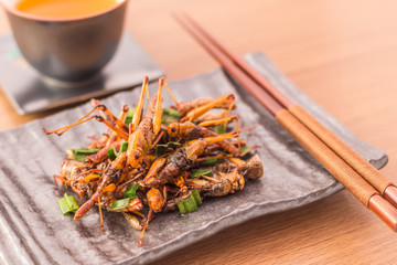 Fried insects