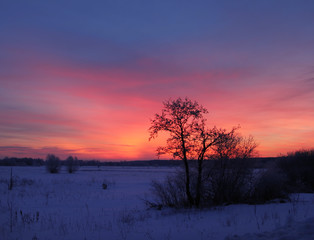 a long walk in nature snowy Russian winter