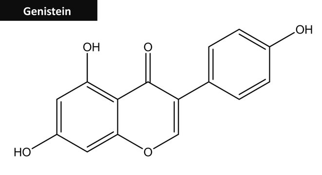 Molecular structure of Genistein