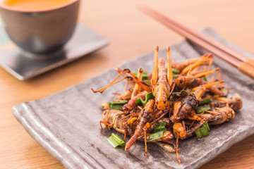 Fried insects