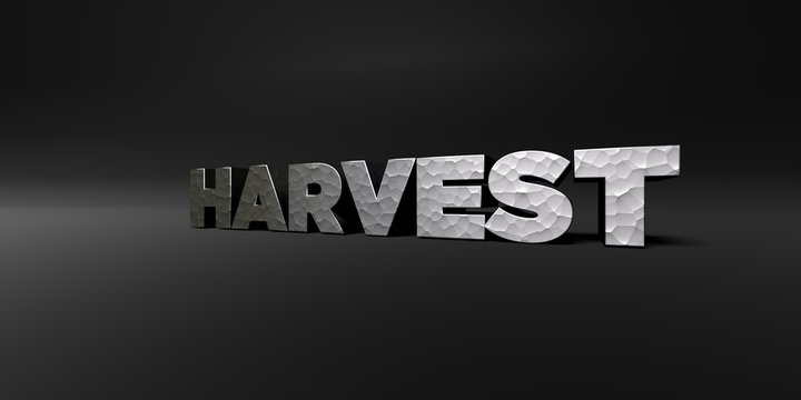 HARVEST - hammered metal finish text on black studio - 3D rendered royalty free stock photo. This image can be used for an online website banner ad or a print postcard.