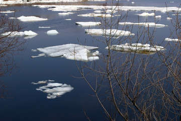 spring break © salman2