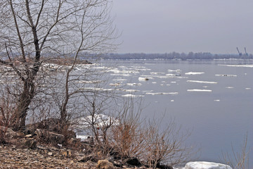 spring break © salman2