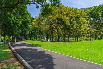 Fototapeta na wymiar Pathway in the Green Park