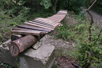 деревянный мост в лесу через овраг - obrazy, fototapety, plakaty