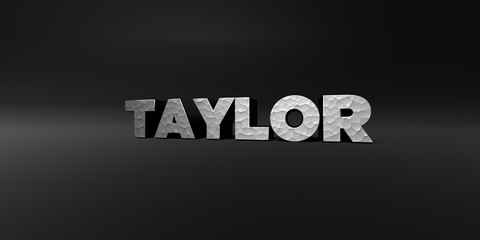 TAYLOR - hammered metal finish text on black studio - 3D rendered royalty free stock photo. This image can be used for an online website banner ad or a print postcard.