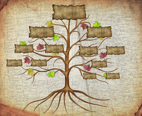 family tree