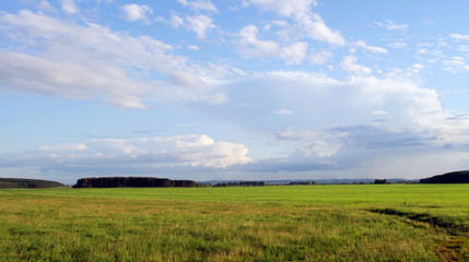 Obraz premium summer landscape