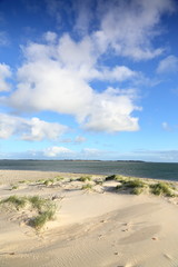 Fototapeta na wymiar Küstenlandschaft auf Amrum an der Nordsee