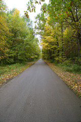 Obraz premium autumn landscape