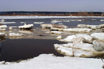 spring break © salman2