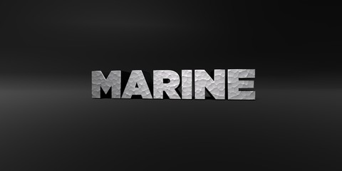 MARINE - hammered metal finish text on black studio - 3D rendered royalty free stock photo. This image can be used for an online website banner ad or a print postcard.