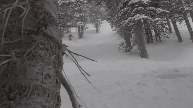 woman skis through trees in fresh snow