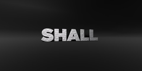 SHALL - hammered metal finish text on black studio - 3D rendered royalty free stock photo. This image can be used for an online website banner ad or a print postcard.