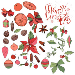 Set with isolated Christmas objects - flowers, spice,fruits and decoration. Vector, hand drawn.  Merry Christmas callighraphy phrase. Red,green, black and brawn.