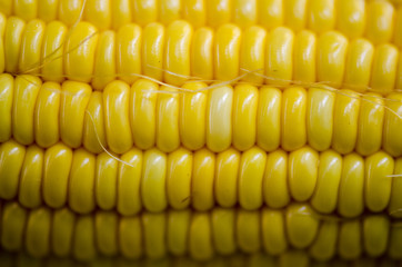 .Corn seed placed on the pods do not have a closer look at the d