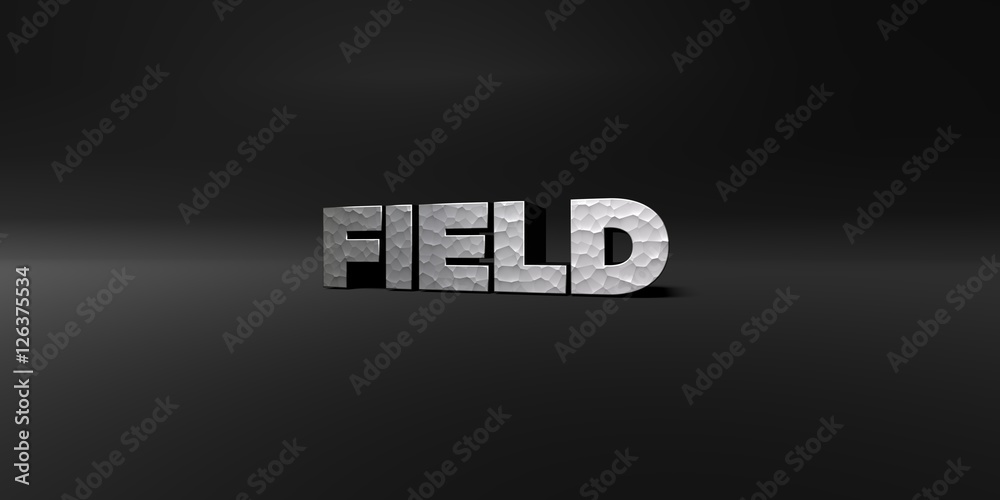 Fototapete field - hammered metal finish text on black studio - 3d rendered royalty free stock photo. this imag