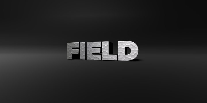 FIELD - hammered metal finish text on black studio - 3D rendered royalty free stock photo. This image can be used for an online website banner ad or a print postcard.