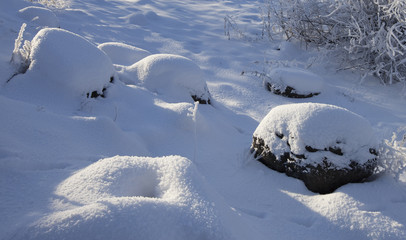 winter landscape