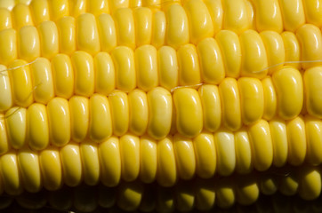 .Corn seed placed on the pods do not have a closer look at the d