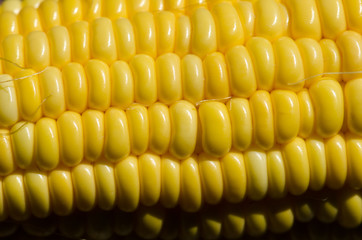 .Corn seed placed on the pods do not have a closer look at the d