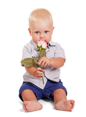 Beautiful little boy is sitting and holding rose isolated.