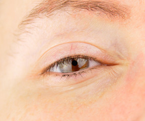 Obraz premium the woman eye