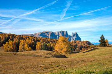 Mystic  autumn landscape with yellow larch in Alpe di Siusi in t