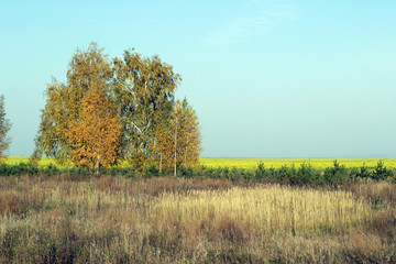 Obraz premium Russian expanses