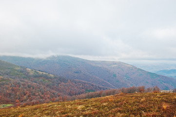 Scenic view of mountain autumn red and orange forests covering b