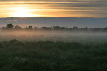 Fototapeta na wymiar thick fog in the field at sunrise
