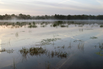 thick fog on the river