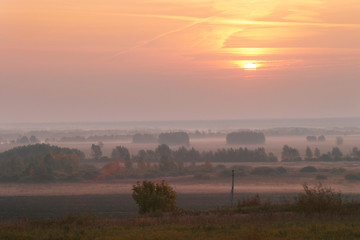 fog over the field