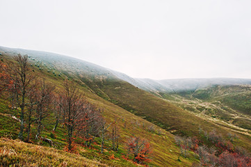 Naklejka premium Scenic view of mountain autumn red and orange forests snow-cover