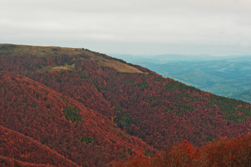 Colorful red autumn landscape in the mountain. Foggy morning in