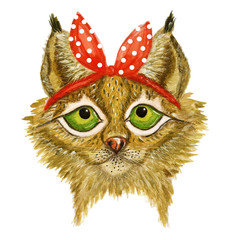 Head of beautiful lynx. illustration with head of wild cat. Hand drawn sketch. Design element useful for print for t-shirt.