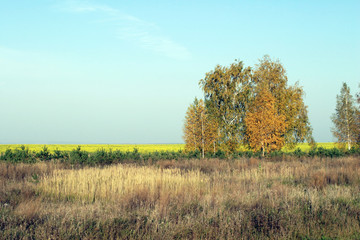 Obraz premium Russian expanses
