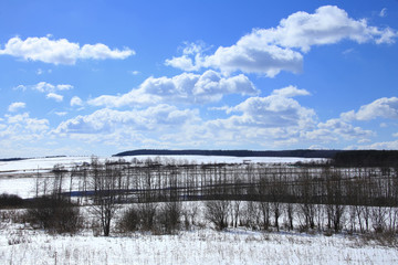 Fototapeta premium snow melt in the early spring