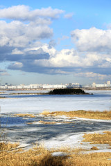 spring landscape