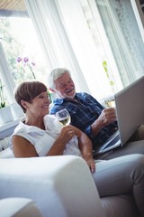 Senior couple using laptop